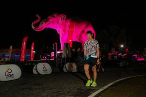 BIB: 
                            <button type="button" onclick="openModal(26534521)" class="btn btn-primary btn-sm float-right btn-popup" data-toggle="modal" data-target=".modal-high-quality">
                        <i class="fas fa-shopping-cart"></i> Add to Cart
                    </button>
                                            <button type="button" onclick="isThisMe(26534521, true)" class="btn btn-success btn-sm float-right btn-popup btn-isme hidden" data-toggle="tooltip" data-placement="bottom" title="นี่คือรูปของคุณใช่ไหม คลิกที่นี่เพื่อเอาเข้าอัลบั้ม">
                        <i class="fas fa-plus"></i> Add to album
                    </button>
                    <button type="button" onclick="isThisMe(26534521, false)" class="btn btn-warning btn-sm float-right btn-popup btn-isnotme hidden">
                        <i class="fas fa-ban"></i> Remove from album
                    </button>